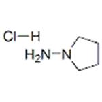 1-Aminopyrrolidine hydrochloride