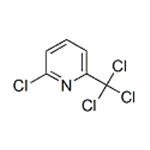 2-chloro-6-trichloromethylpyridine