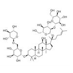 20(R)-Ginsenoside Rg3