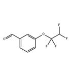 3-(1,1,2,2-TETRAFLUOROETHOXY)BENZALDEHYDE