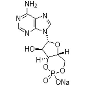 Adenosine 3',5'-cyclic monophosphate sodium salt；Cyclic AMP Na; 3:5-CAMP Na; 3',5'-CYCLIC AMP Na