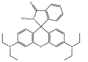 N-hydroxy Rhodamine B amide