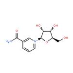 Nicotinamide riboside chloride