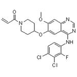 Poziotinib (HM781-36B)