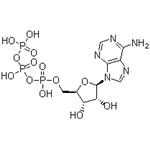 56-65-5 Adenosine 5'-triphosphate; ATP-,5'-ATP