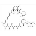 Rapamycin