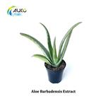 Aloe Barbadensis Extract