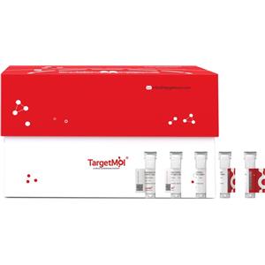 CD28 Protein, Mouse, Recombinant (hFc)