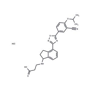 RP-001 hydrochloride