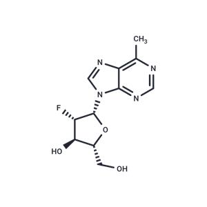 6-Methylpurine-2’-deoxy-2’-fluoro-beta-D-arabinoriboside