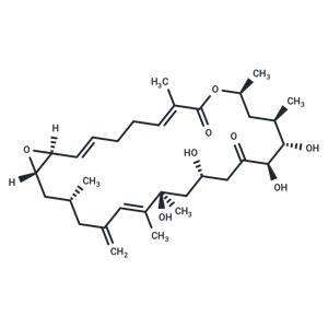 Amphidinolide D