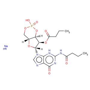 Dibutyryl-cGMP sodium