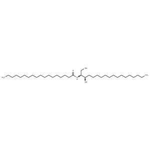 C18 dihydro Ceramide (d18:0/18:0)