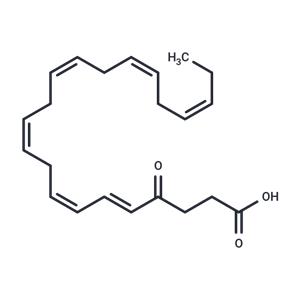 4-oxo Docosahexaenoic Acid