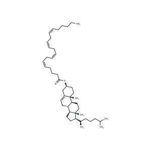 Cholesteryl arachidonate