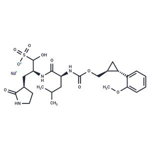 SARS-CoV-2 3CLpro-IN-11