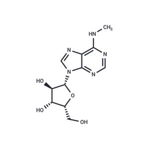 N6-Methyl-xylo-adenosine