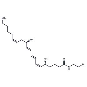 Leukotriene B4 Ethanolamide