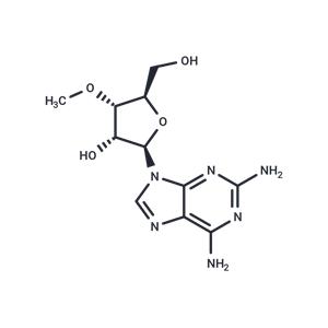 2-Amino-3’-O-methyladenosine