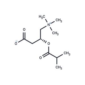 Isobutyryl-L-carnitine