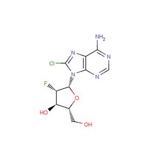 8-Chloro-2’-deoxy-2’-fluoro-arabino ? adenosine