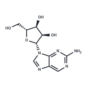 2-Amino-9-β-D-ribofuranosylpurine