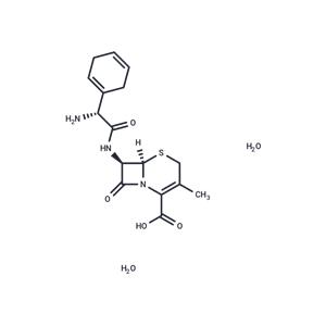 Cephradine dihydrate