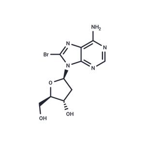 8-Bromo-2’-deoxyadenosine