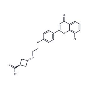 trans-ccc_R08