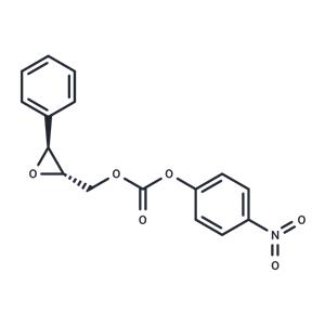 S-NEPC