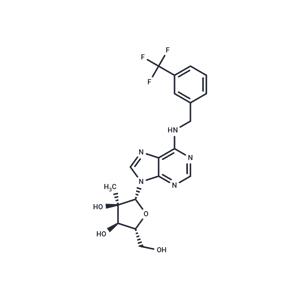 N6-(3-Trifluoromethylbenzyl)-2’-C-methyl adenosine