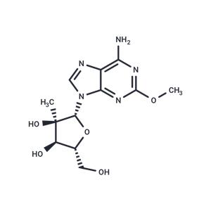 2’-C-Methyl-2-methoxyadenosine