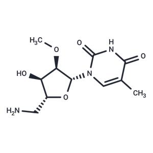 5’-Amino-5’-deoxy-2’-O-methyl-5-methyluridine