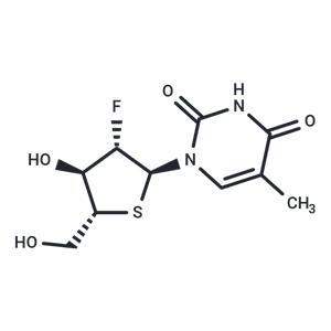 2’-Deoxy-2’-fluoro-5-methyl-4’-thio-a-D-arabinouridine