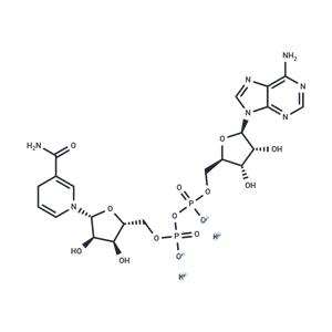 β-Nicotinamide adenine dinucleotide reduced dipotassium