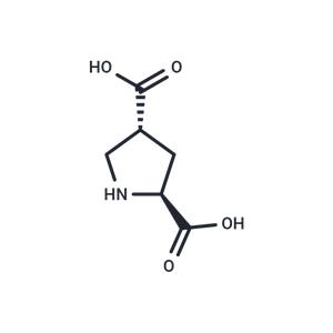 L-trans-2,4-PDC