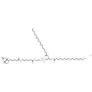 1,2-Dipalmitoyl-sn-glycero-3-PE-N-(cap biotin) (sodium salt)