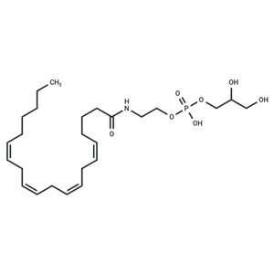 Glycerophospho-N-Arachidonoyl Ethanolamine