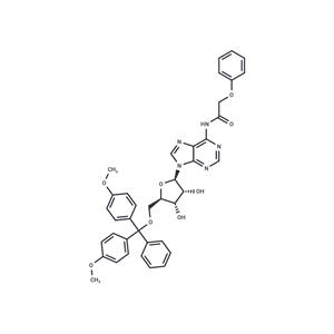 5’-O-(4,4’-Dimethoxytrityl)-N6-Phenoxyacetyl adenosine