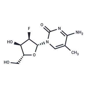 2’-Deoxy-2’-fluoro-5-methylcytidine