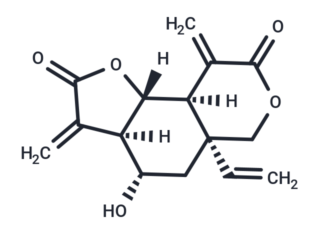 Vernolepin