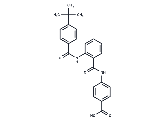 DM175