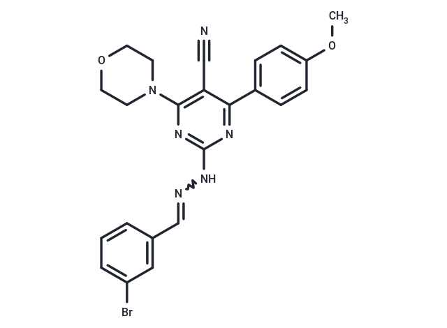 PI3K-IN-33