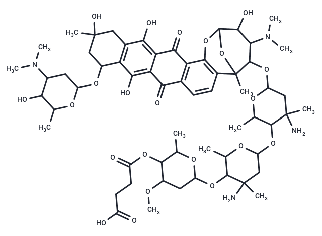 Avidinorubicin