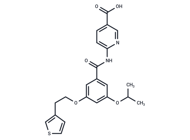 GKA-22