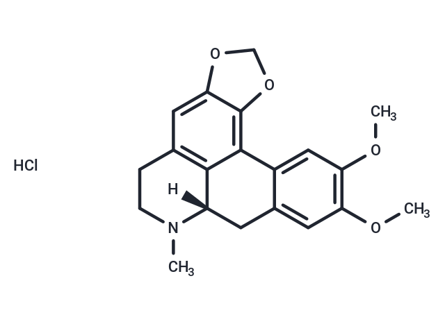 Dicentrine HCl