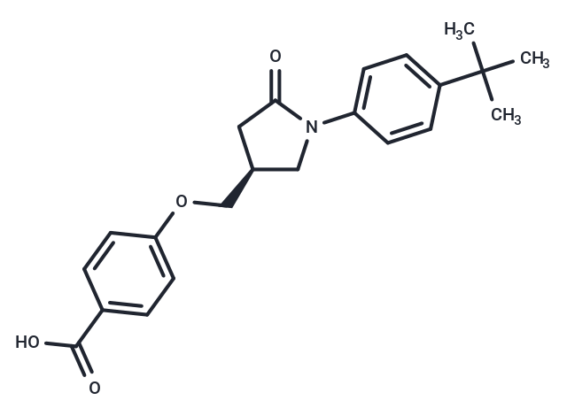 S-2E