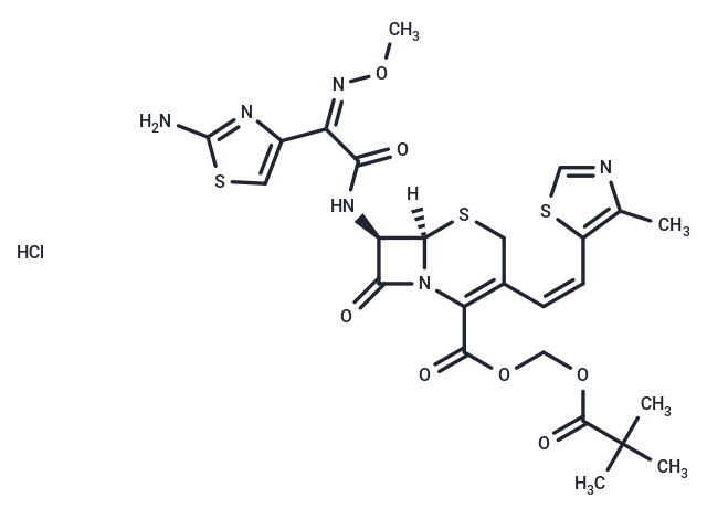 Cefditoren Pivoxil HCl