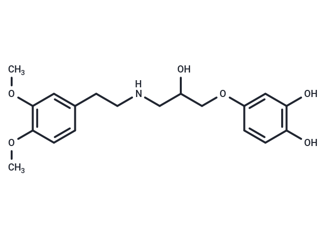 Ro 363