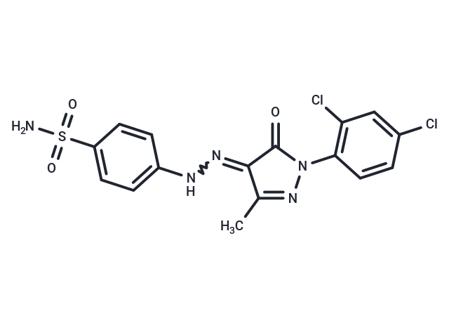 hCAIX/XII-IN-8